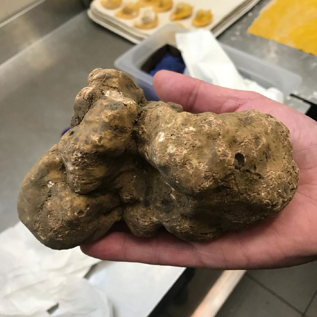 I Gelsi - Ristorante pizzeria a Gallarate - Specialità carne e pesce - Eventi e cerimonie - Pranzi di lavoro - tartufo